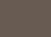 Pantone color