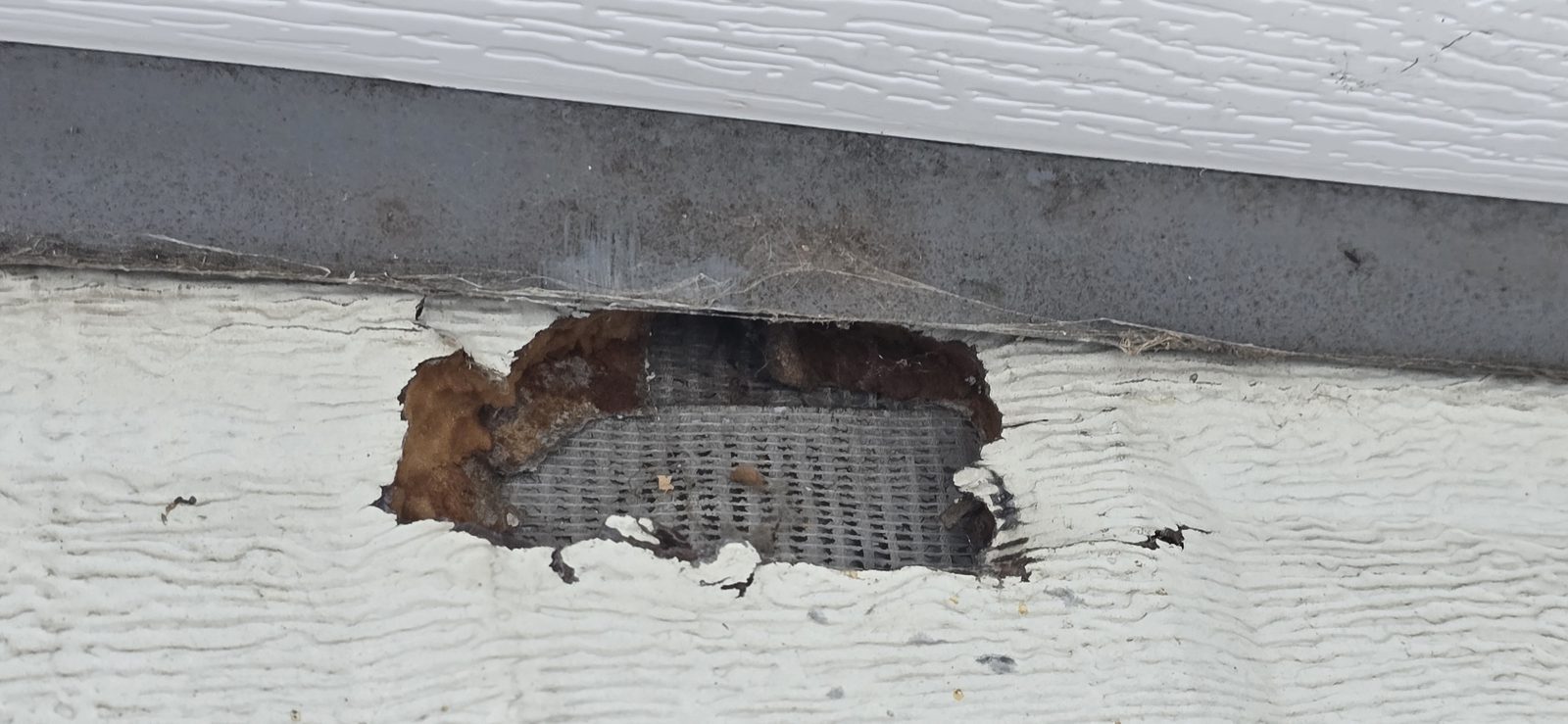 Damaged garage door before repair, photo 3